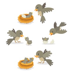 Bird Family. Vector Illustration.