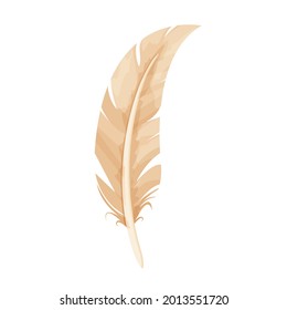 Bird feather, ancient quill in cartoon style isolated on white background. Writing tool, equipment. Decoration element.