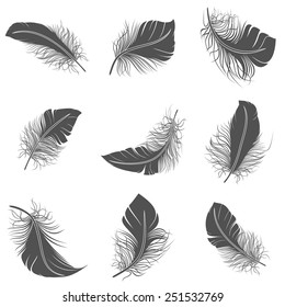 Bird feather black calligraphy literature allegory decorative icons set isolated vector illustration