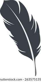 Bird Feather Black Silhouette Isolated on White Background. Vector Illustration