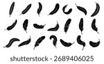 Bird Feather black silhouettes. Black abstract feather silhouette collection. 