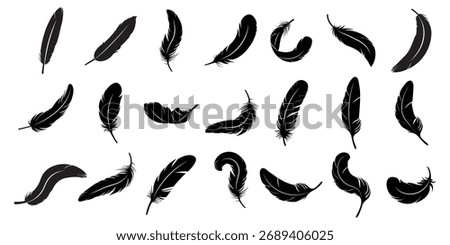 Bird Feather black silhouettes. Black abstract feather silhouette collection. 