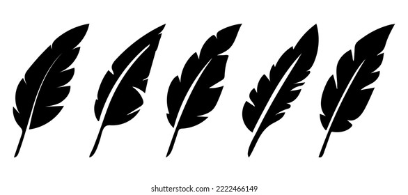 Bird Feather black silhouettes. Plumelet collection. Vector isolated on white. Feathers icon set.