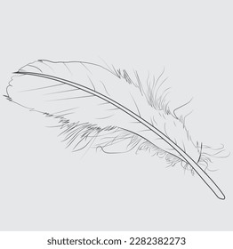 Bird Feather black silhouettes, Vector isolated on white, Bird feather line art,
Set of bird feathers, Hand-drawn illustration converted to vector, Outline with transparent background.