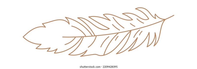 Bird feather boho lined illustration