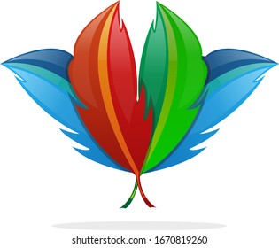 pájaro de la ilustración portadora colorida