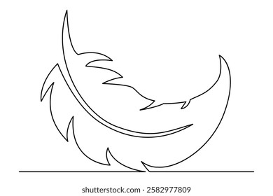 Bird Feather continuous line art drawing and minimalist design