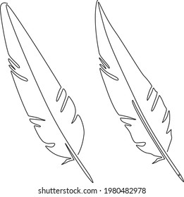Bird feather. Continuous line drawing. Vector illustration isolated on white background.
