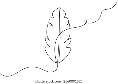 Bird feather continuous one line drawing of feather isolated outline flat vector illustration