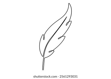 Bird feather continuous one line drawing of bird feather icon  Isolated on white background vector illustration