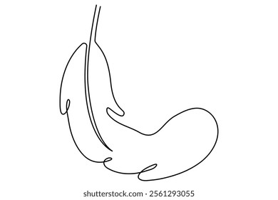 Bird feather continuous one line drawing of bird feather icon  Isolated on white background vector illustration