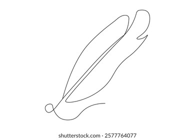 Bird feather Continuous one line art drawing  of outline line vector illustration with white background