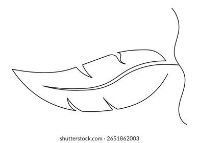Bird feather continuous one line drawing and minimalist style isolate outline vector illustration