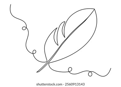 Bird feather continuous single line art and isolated outline vector illustration