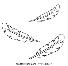 Bird feather. Decorative element. Cartoon illustration. Plumage of flying animal for Coloring book