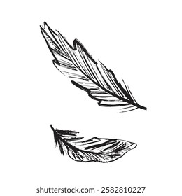 Bird feather drawing in black brush stroke texture isolated on white background. Hand drawn vector sketch illustration in vintage charcoal ink. Bird part, weightless symbol, pillow filling