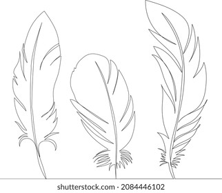 bird feather drawing by one continuous line, sketch