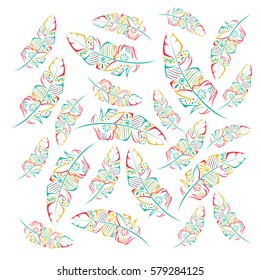 Bird feather drawing on white background