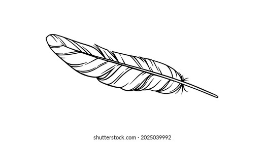 Bird feather for a dreamcatcher. Sketch feather illustration for a tattoo design. Vector illustration isolated in white background