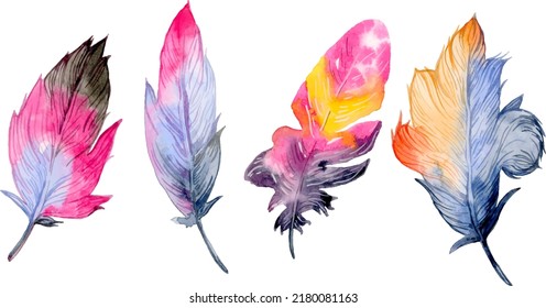 Bird feather element set. Hand drawn watercolor illustration.