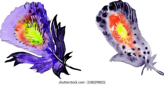 Bird feather element set. Hand drawn watercolor illustration.