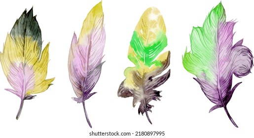 Bird feather element set. Hand drawn watercolor illustration.