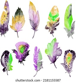 Conjunto de elementos de pluma de aves. Ilustración de acuarela dibujada a mano.