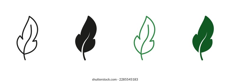 Bird Feather Glyph and Outline Pictogram Set. Ink Pen for Calligraphy Write. Fluffy Smooth Quill Black and Green Symbol. Lightweight Natural Quill. Light Weight Feather. Isolated Vector Illustration.