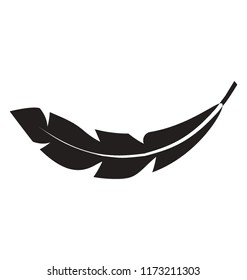 Bird feather glyph vector icon