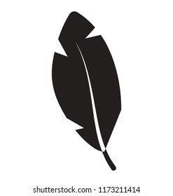 Bird feather glyph vector icon