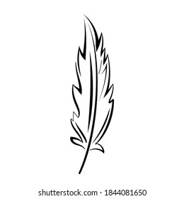 bird feather graphic black line minimalistic vector icon isolated on white background. To illustrate the processes of education, science, ease, write the text.