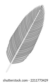 Bird Feather (gray). Vector illustration.