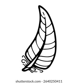 Bird feather. Hand drawn doodle vector. Plumage. Animal fluff. Tribal decoration. Goose, ostrich, chicken, raven wing. Natural stuffing of pillows and down jackets. Illustration line art element.