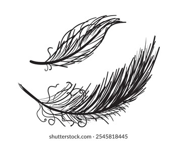 Bird feather hand drawn icon, flying dove feathers isolated, doodle soft plume silhouette, brutal, crudely drawn feather vintage ink vector illustration