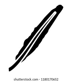 
Bird feather having long and beautiful shape 
