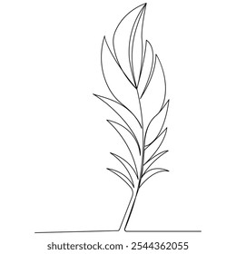 Bird feather  icon  continuous one line drawing  outline vector illustration