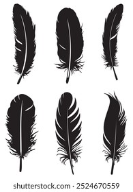 Bird feather icon set featuring various feather designs, vector illustrations isolated on a white background for easy identification and use