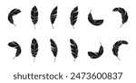 Bird feather icon set. vector illustration isolated on white background