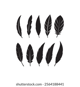 Bird feather icon set vector illustration isolated on .Bird feather icons. Vector silhouettes of black quill pens, fluffy angel wing, swan or goose bird 