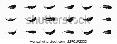 Bird feather icon set. Feather vector icons. Feather silhouette. EPS 10
