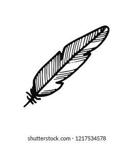 bird feather icon. sketch isolated object black.