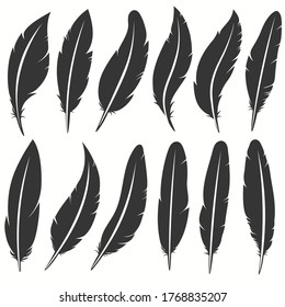 Bird feather icon, writing symbol. Fallen fluffy feathers isolated. vector