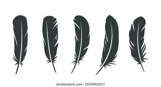 Bird feather icons set. Dark or black plumes silhouettes of fluffy angel, goose or swan wings. Design elements for tattoo or logo. Flat vector illustration collection isolated on white background