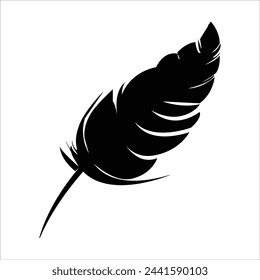 ilustración y silueta de pluma de pájaro