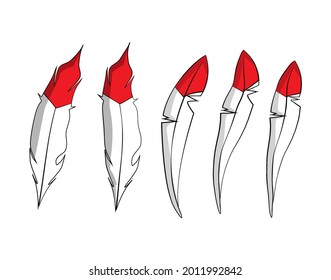 Imagen vectorial de la ilustración de la pluma de aves
