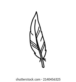 Bird feather isolated on white background. Vector hand-drawn illustration in doodle style. Perfect for cards, decorations, logo, various designs.