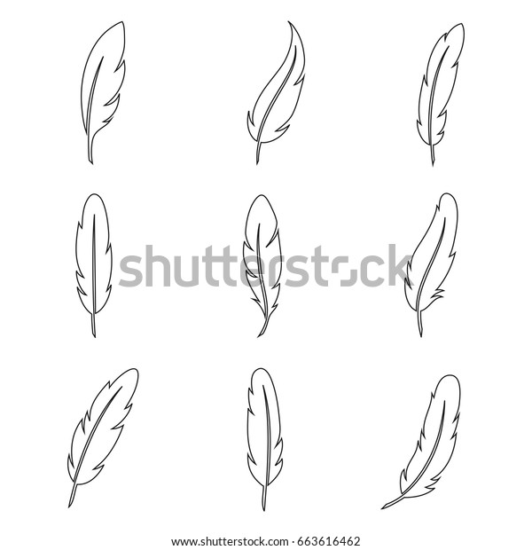 Bird Feather Line Art Collection Divine Stock Vector Royalty Free