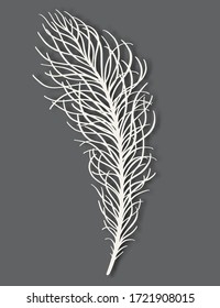 Bird feather on a gray background - hand painting illustration.