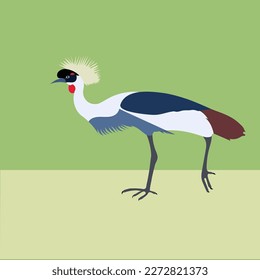 A bird with a feather on its head-vector artwork.