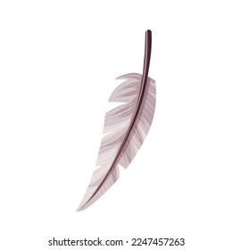 Bird feather on the white background. Isolated vector illustration.